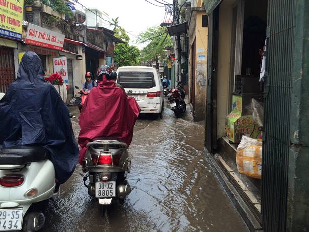 Hà Nội đón cơn mưa vàng 'giải nhiệt' ảnh 3
